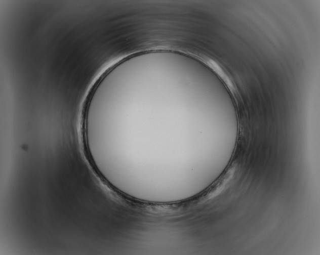 X0000088221149200705151024