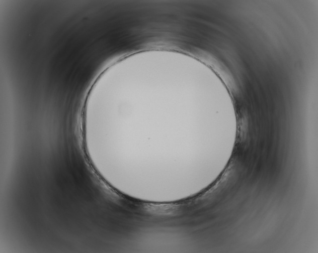 X0000088221150200705151024