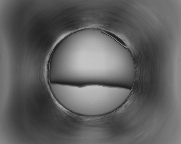 X0000088221151200705151024
