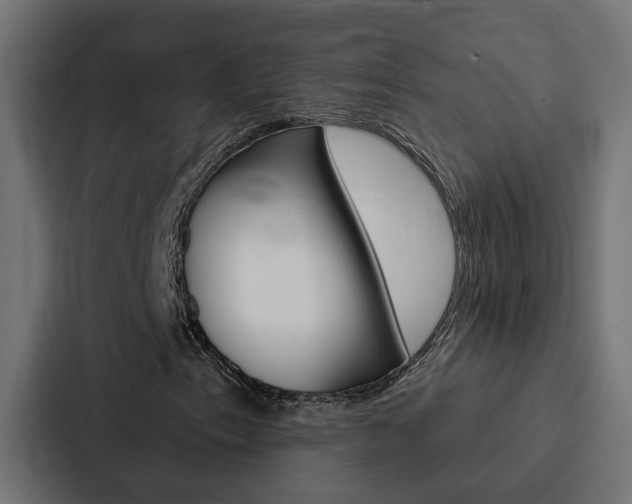 X0000088221153200705151023