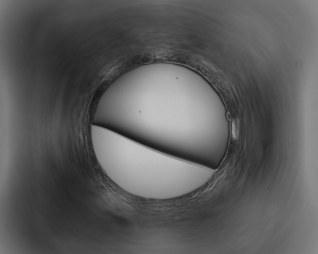 X0000088221155200705151023