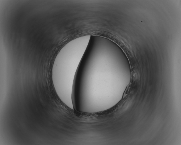 X0000088221156200705151023