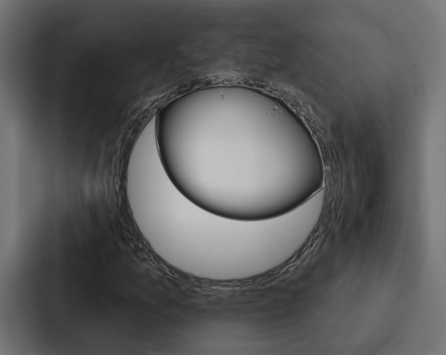 X0000088221157200705151023