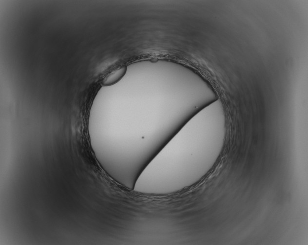 X0000088221158200705151023