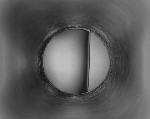 X0000088221160200705151023