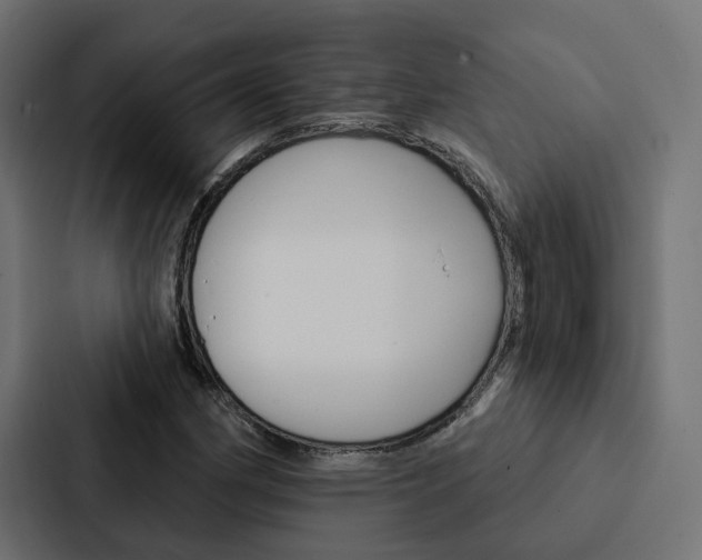 X0000088221162200705151023