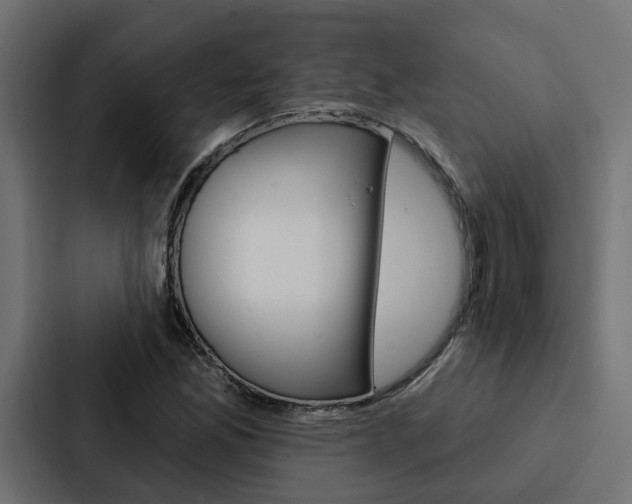 X0000088221165200705151023