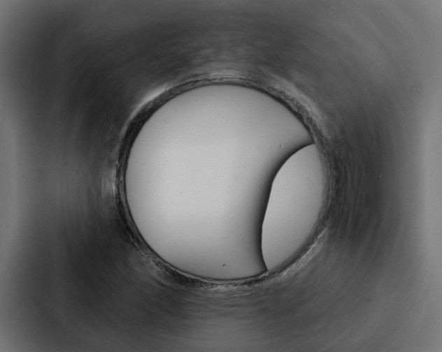 X0000088221166200705151023