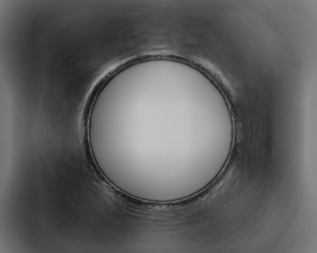 X0000088221167200705151023