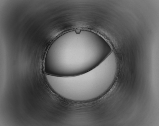 X0000088221169200705151023