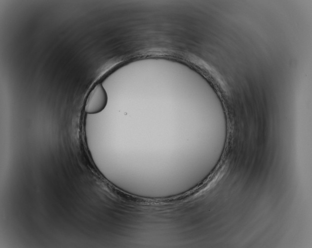 X0000088221170200705151023