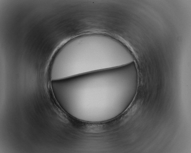 X0000088221171200705151023