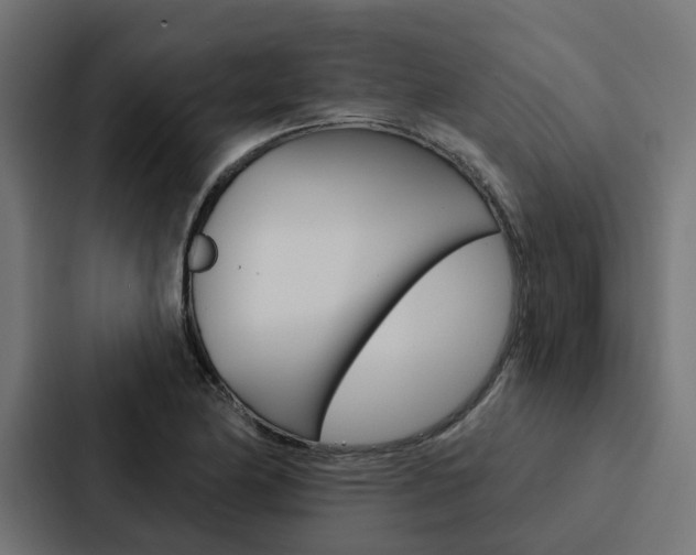 X0000088221174200705151023