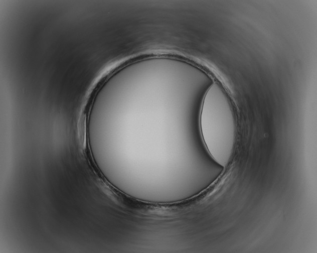 X0000088221175200705151023