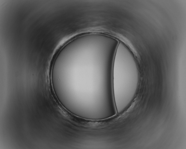 X0000088221176200705151023