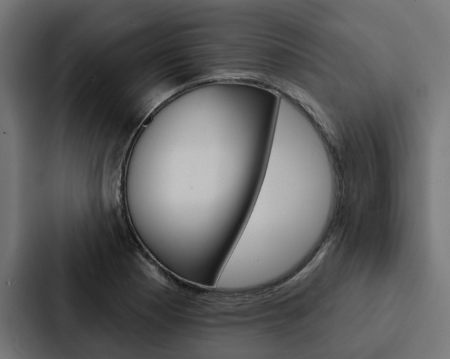 X0000088221177200705151023