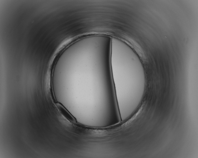 X0000088221180200705151023