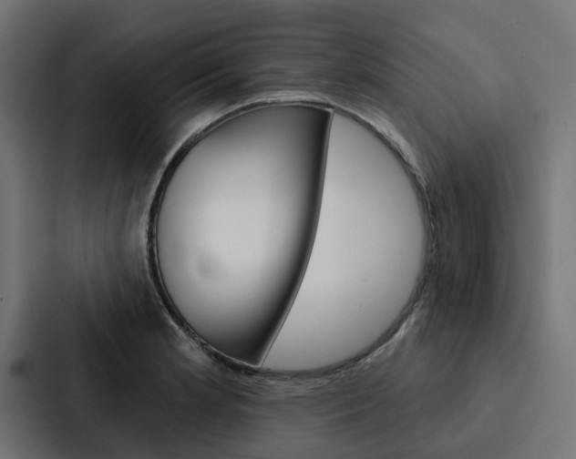 X0000088221181200705151023