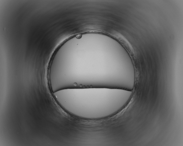 X0000088221182200705151023