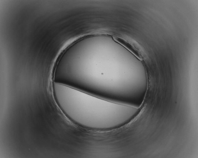 X0000088221184200705151023