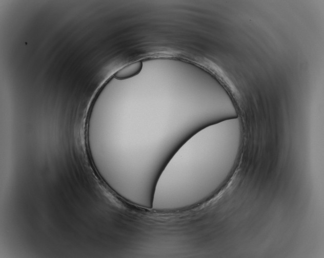 X0000088221186200705151023