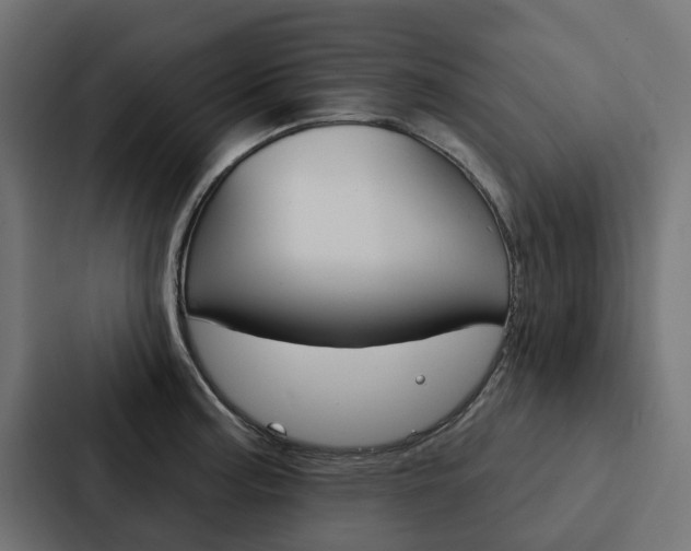 X0000088221187200705151023