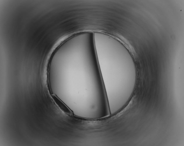 X0000088221188200705151023