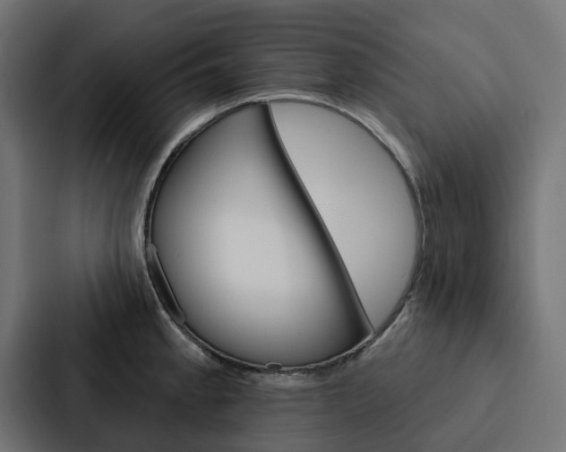 X0000088221189200705151023