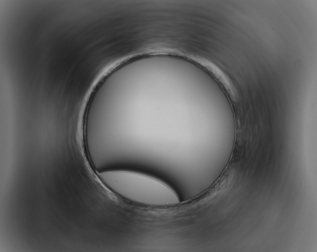 X0000088221191200705151023
