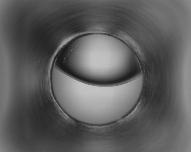 X0000088221192200705151023