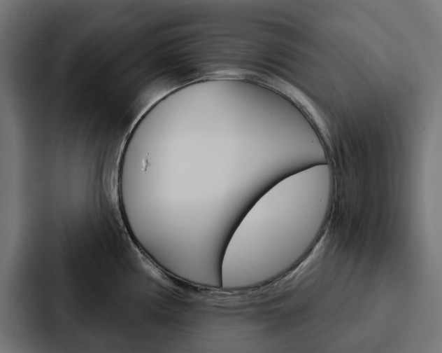 X0000088221194200705151023