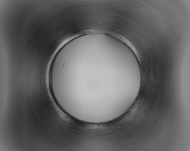 X0000088221195200705151023