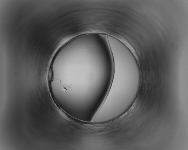 X0000088221197200705151023
