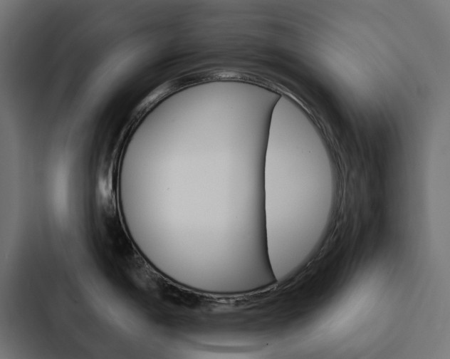X0000088221198200705151023