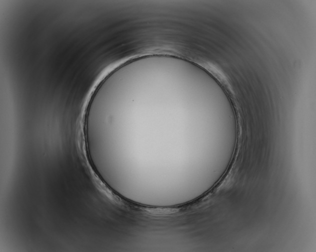 X0000088221200200705151023