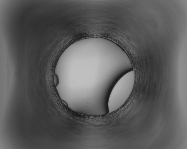 X0000088221201200705151022
