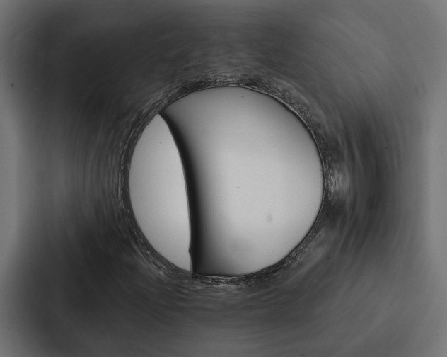 X0000088221204200705151022