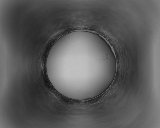 X0000088221206200705151022