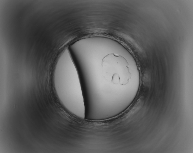 X0000088221209200705151022