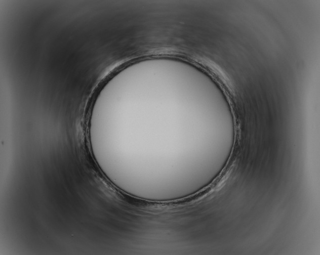 X0000088221212200705151022