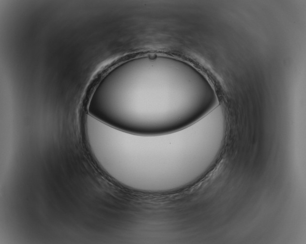X0000088221214200705151022
