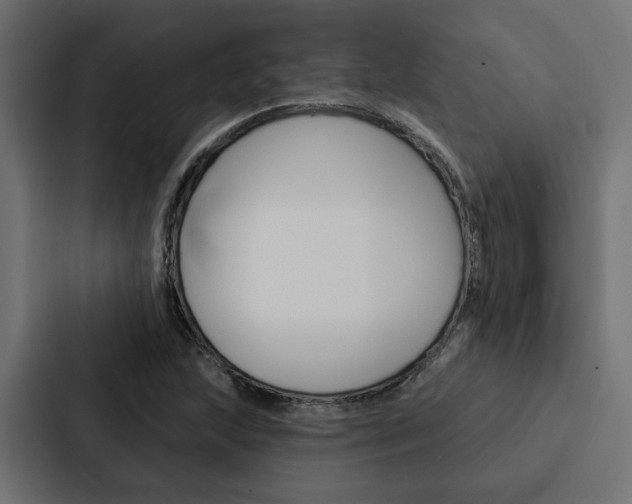 X0000088221215200705151022