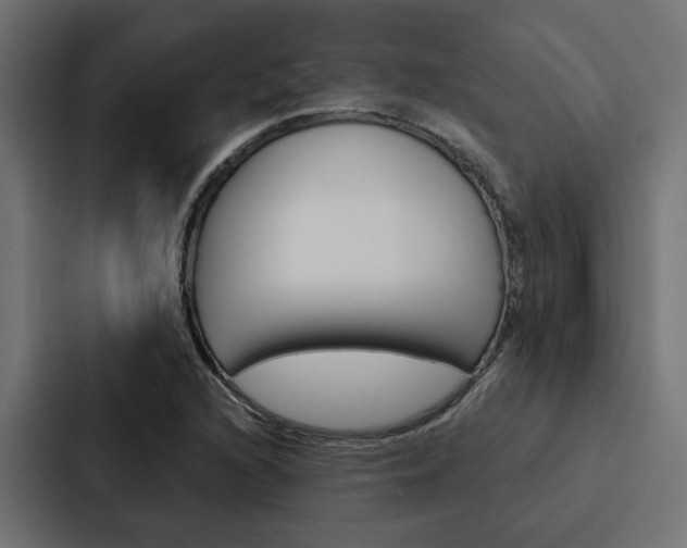 X0000088221216200705151022