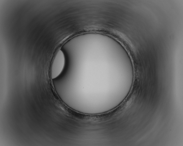 X0000088221217200705151022