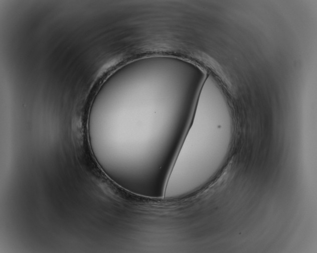 X0000088221218200705151022