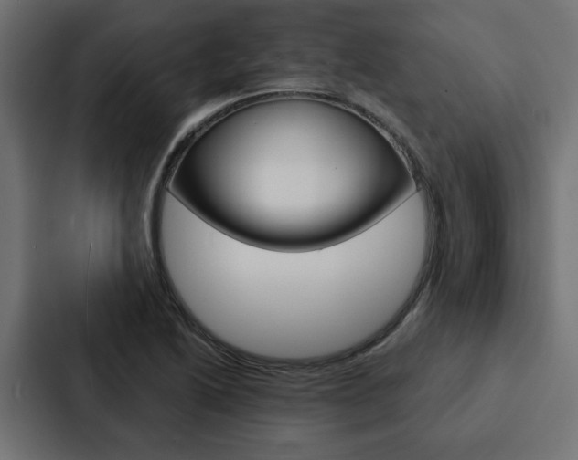 X0000088221222200705151022