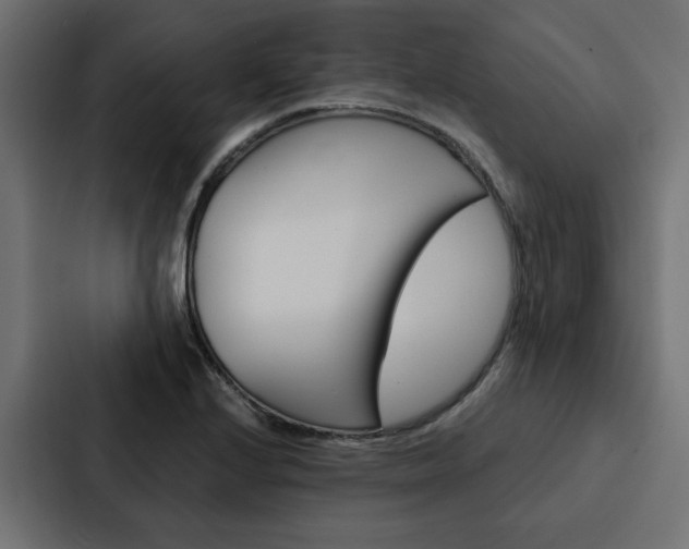 X0000088221224200705151022