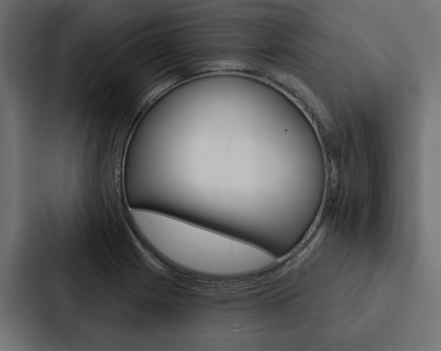 X0000088221225200705151022