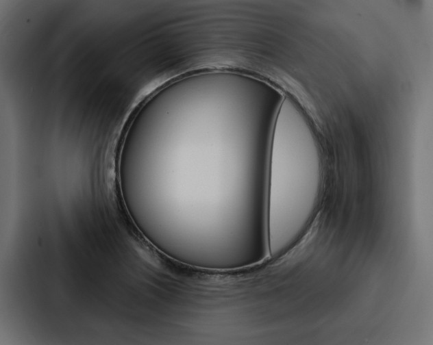 X0000088221226200705151022