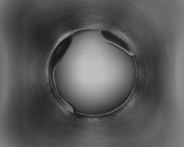 X0000088221230200705151022